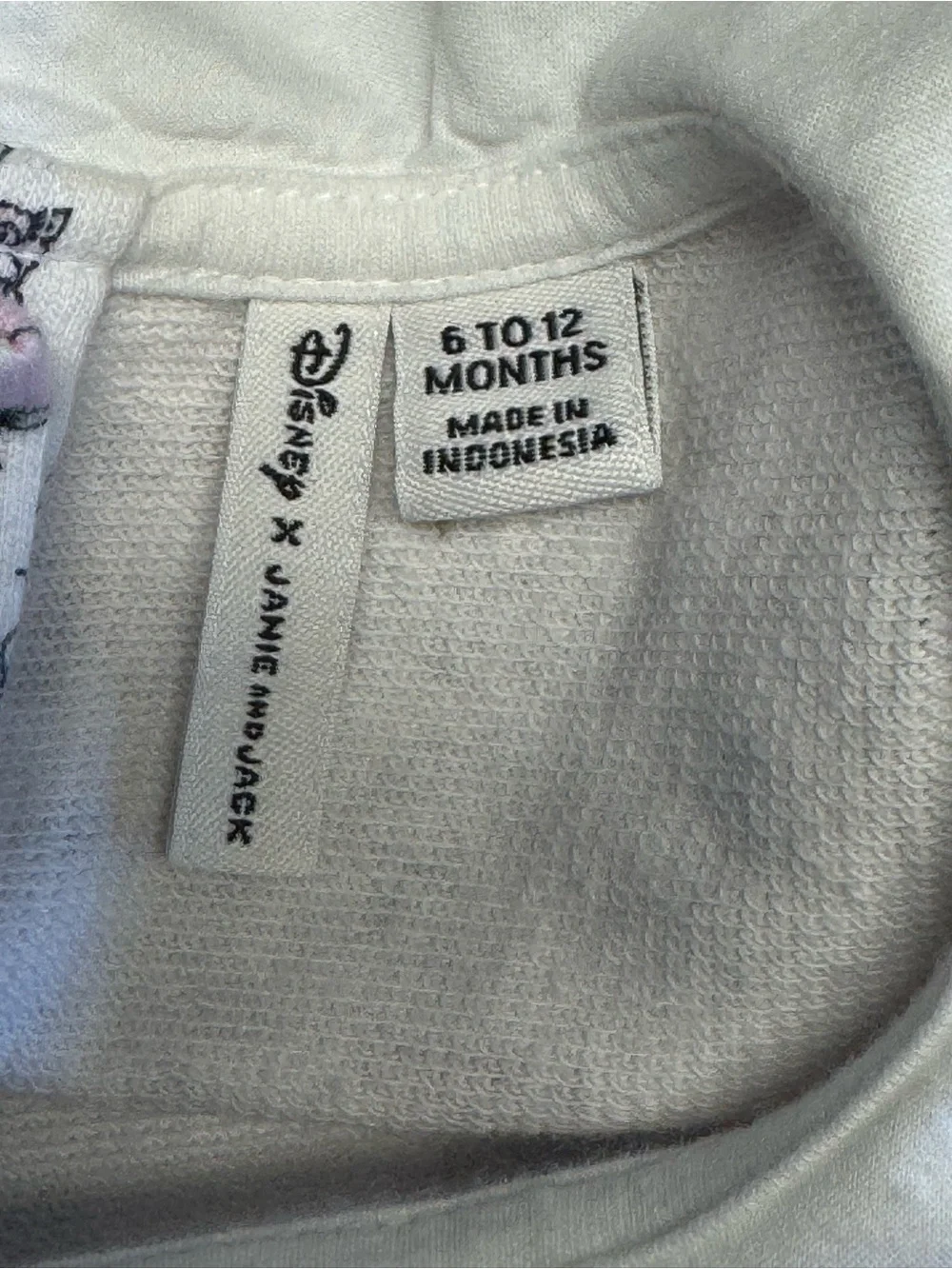Disney Aurora Toile Sweatshirt & Jogger SZ 6-12 months
